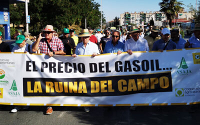 400 vehículos agrícolas reclaman en las calles de Granada medidas que salven al campo ante el desorbitado precio del gasóleo