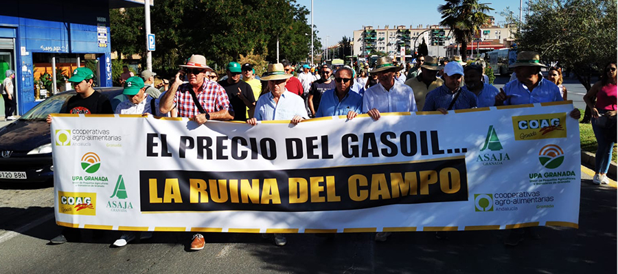 400 vehículos agrícolas reclaman en las calles de Granada medidas que salven al campo ante el desorbitado precio del gasóleo