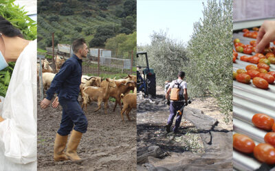 El cooperativismo agroalimentario ensalza el beneficio social y económico de apoyar un modelo 100% sostenible y de la tierra