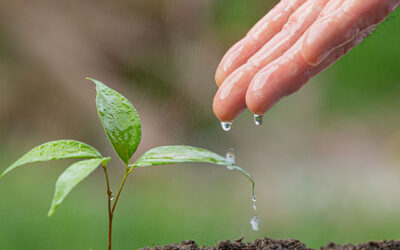 Cooperativas Agro-alimentarias de Andalucía valora que el agua sea protagonista de la Consejería de Agricultura y confía que el medio ambiente vaya de su mano