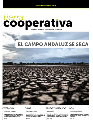 Revista Nº118