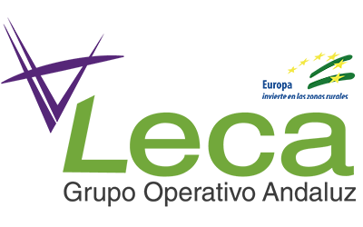 Leca