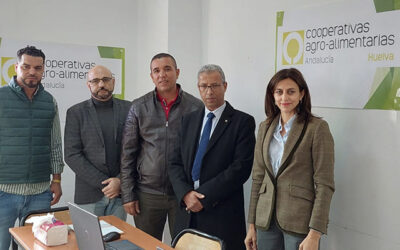 Cooperativas Agro-alimentarias de Huelva seleccionará a más de 680 nuevas trabajadoras de origen marroquí para la campaña de la fresa y los frutos rojos