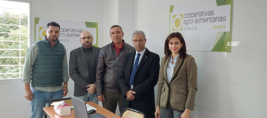 Cooperativas Agro-alimentarias de Huelva seleccionará a más de 680 nuevas trabajadoras de origen marroquí para la campaña de la fresa y los frutos rojos