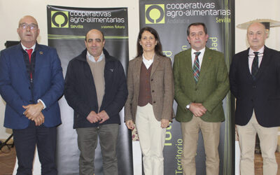 Cooperativas Agro-alimentarias de Sevilla reclama soluciones urgentes para aliviar la asfixia económica del sector