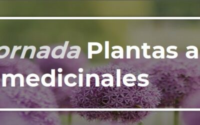 Jornada Plantas aromáticas y medicinales