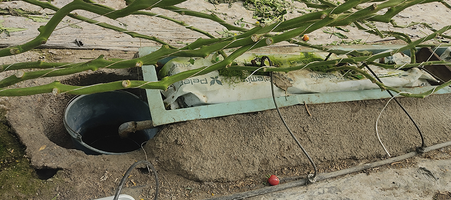 Un proyecto analiza el uso de abonos nitrogenados en cultivo bajo invernadero