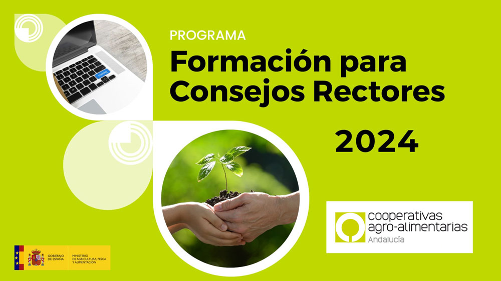 Actividades formativas dirigidas a la formación para consejos rectores