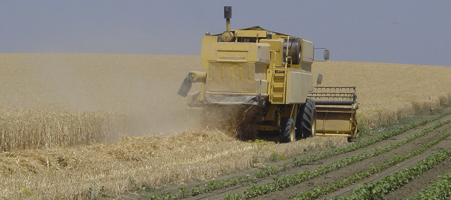 Cooperativas Agro-alimentarias de Andalucía vuelve a poner a disposición del sector la experiencia de sus técnicos para la tramitación de la nueva PAC