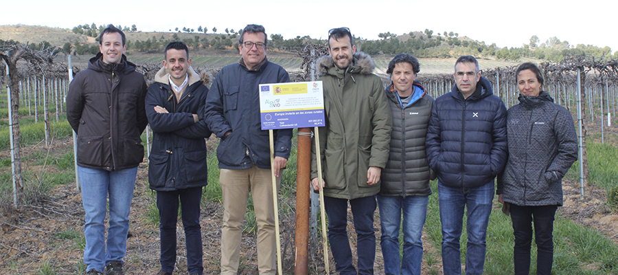 Un proyecto nacional desarrolla bioestimulantes a partir de microalgas para mejorar la producción vitivinícola