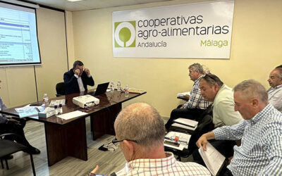 Antonio Luque revalida su cargo como presidente de Cooperativas Agro-alimentarias de Málaga