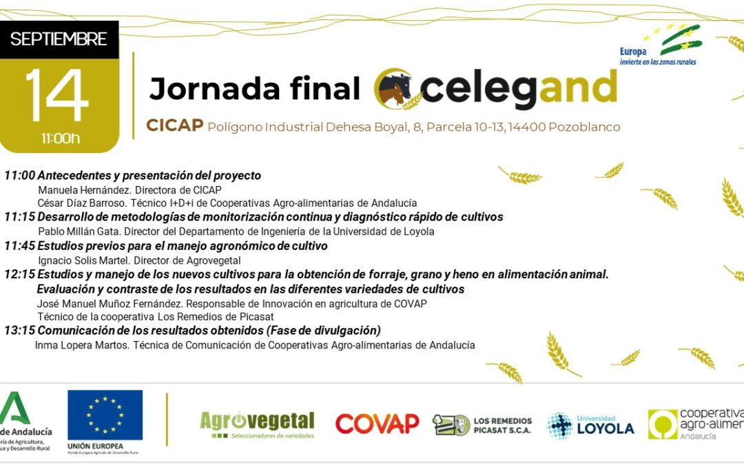 Jornada final Celegand