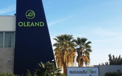 Oleand Manzanilla Olive logra el reconocimiento como Entidad Asociativa Prioritaria Agroalimentaria de Andalucía