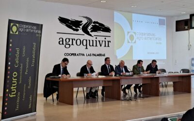 Cooperativas Agro-alimentarias de Sevilla exige un acceso eficiente al agua como clave para mantener la riqueza agraria  y económica en la provincia