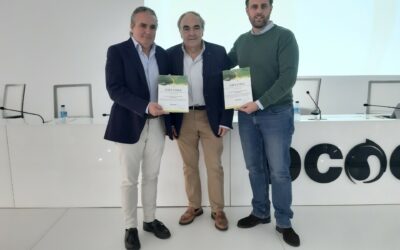 Dcoop premia los mejores aceites tempranos de la campaña 2023-2024