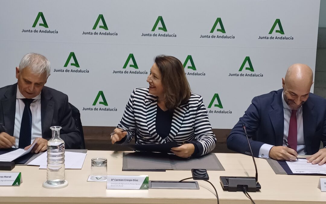 Cooperativas Agro-alimentarias de Andalucía impulsa la competitividad del sector agroalimentario andaluz