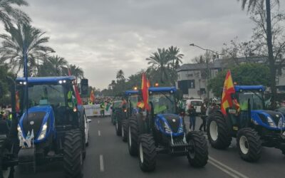 Cooperativas Agro-alimentarias de Andalucía, ASAJA, COAG y UPA retoman las movilizaciones el 14 de febrero en Sevilla y Jaén