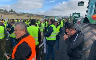 Aclaraciones sobre la realidad del campo y los motivos que llevan a Cooperativas Agro-alimentarias de Andalucía a movilizarse en unidad de acción