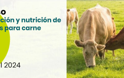 I Curso de producción y nutrición de bovinos para carne