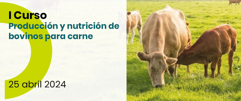 I Curso de producción y nutrición de bovinos para carne