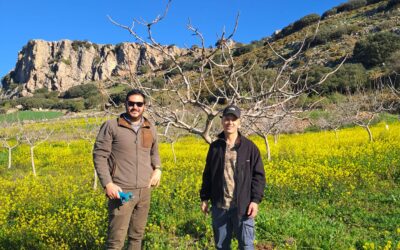 Cooperativas Agro-alimentarias de Málaga continúa acogiendo a jóvenes agricultores dentro del Programa CULTIVA