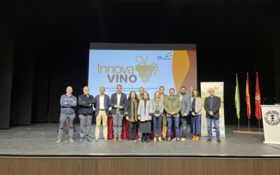 El GO Innovavino desarrolla nuevas tipologías de vinos sin encabezar gracias a la recuperación de técnicas vitivinícolas ancestrales