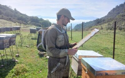 La apicultura malagueña y la gestión cooperativa seduce a jóvenes agricultores