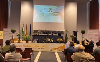 Cooperativas Agro-alimentarias de Andalucía analiza el sector de los cultivos herbáceos en unas jornadas