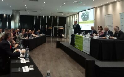 Los retos del olivar del verdeo, a debate en el II Congreso de la Aceituna de Mesa de Cooperativas Agro-alimentarias
