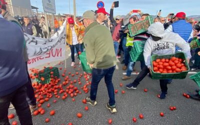 La Ley de la Cadena Alimentaria no funciona y perjudica a las cooperativas y a sus socios, agricultores y ganaderos