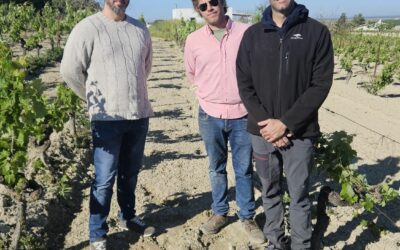 El Programa CULTIVA 2024 finaliza en las provincias de Málaga y Cádiz tras ofrecer formación a una decena de jóvenes agricultores y ganaderos