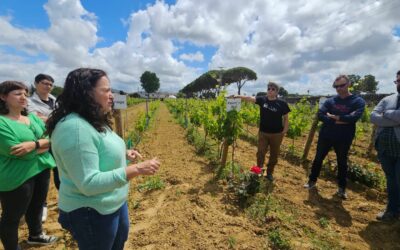 El Programa CULTIVA 2024 finaliza en las provincias de Málaga y Cádiz tras ofrecer formación a una decena de jóvenes agricultores y ganaderos