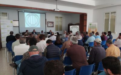 El sector cerealista aboga por la integración para concentrar la oferta, posicionarse fuertemente en los mercados y hacer grande el cooperativismo