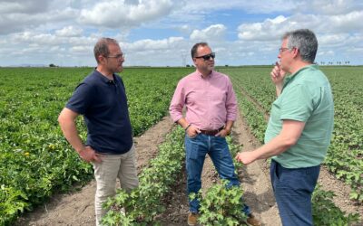 El GO AgroFert impulsa un bioestimulante innovador para reducir el uso de fertilizantes químicos y mejorar la sostenibilidad agrícola