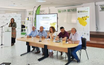 El GO Biolivo identifica cinco nuevas variedades de Olivo no catalogadas en la provincia de Cádiz