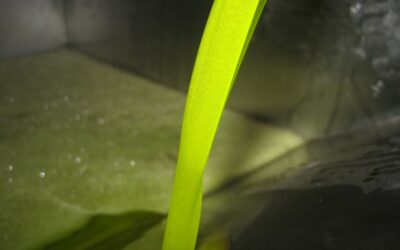 Cooperativas Agro-alimentarias de Andalucía aboga por activar la retirada obligatoria de aceite de oliva cuando las disponibilidades excedan notablemente lo que el mercado puede absorber