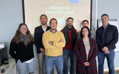 Ahorro del 70% en el consumo de agua en la industria de la aceituna de mesa gracias al GO Olike
