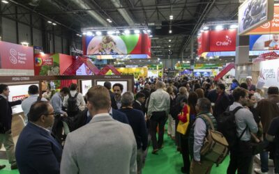 Cooperativas Agro-alimentarias de Andalucía regresa a Fruit Attraction para ensalzar el modelo que lidera las exportaciones hortofrutícolas andaluzas