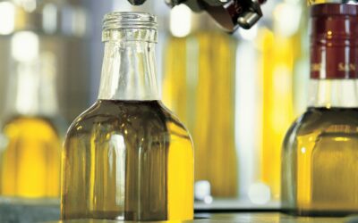 Finalizada una muy buena campaña de comercialización de aceite de oliva y se inicia otra con grandes incertidumbres por la falta de agua