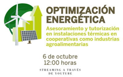 Webinar sobre Optimización energética
