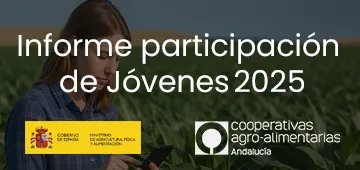 banner_informe_participación_jóvenes_2025