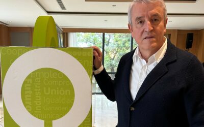 Menos ansiedad y más estrategia en el aceite de oliva