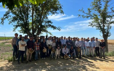 El valor de la semilla certificada y del reempleo legal protagoniza una jornada técnica de la Red Andaluza de Experimentación Agraria (RAEA)