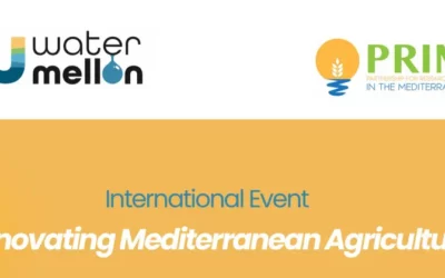 Evento Internacional WATERMELLON sobre innovación en la agricultura mediterránea