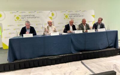 Pese a las dificultades de 2025, el cooperativismo agroalimentario andaluz continúa creciendo y alcanza los 12.671 millones de facturación