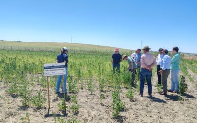 Los proyectos Carina y Watermellon evidencian que innovación, diversificación y sostenibilidad son claves para la competitividad de las cooperativas