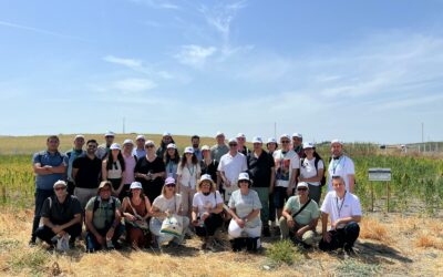 Cooperativas Agro-alimentarias de Andalucía impulsa la innovación frente a la sequía a través del proyecto europeo WATERMELLON
