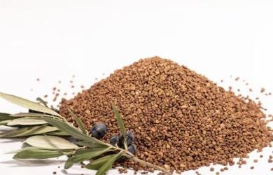 Cooperativas Agro-alimentarias de Andalucía defiende el biogás como una oportunidad económica, ambiental y estratégica para el olivar andaluz