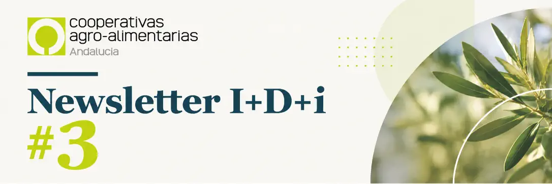 newsletter_3