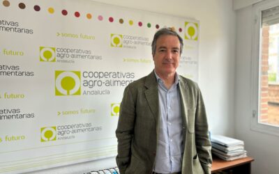Aceite de oliva: La oportunidad para liderar no sólo la producción, sino la comercialización
